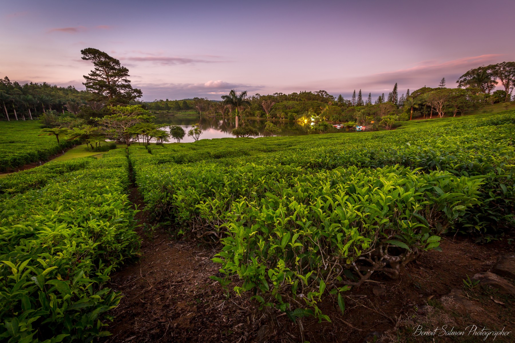 Bubble Lodge Bois Chéri